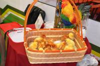   &raquo; ��������� ->