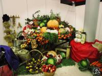   &raquo; ��������� ->