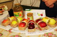   &raquo; ��������� ->